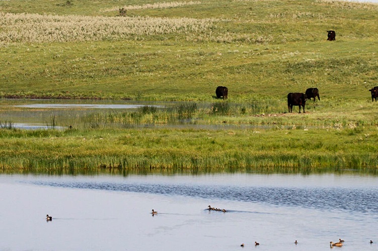 DU_Blog01-r8i8qhvapanb4iwy4z809bx2qph0a8idf75idbptds